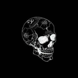 Meet your Posher, Patton